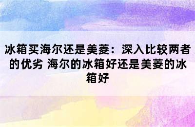 冰箱买海尔还是美菱：深入比较两者的优劣 海尔的冰箱好还是美菱的冰箱好